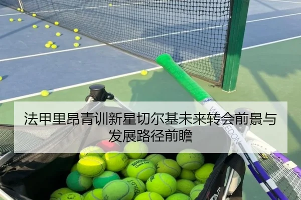 法甲里昂青训新星切尔基未来转会前景与发展路径前瞻