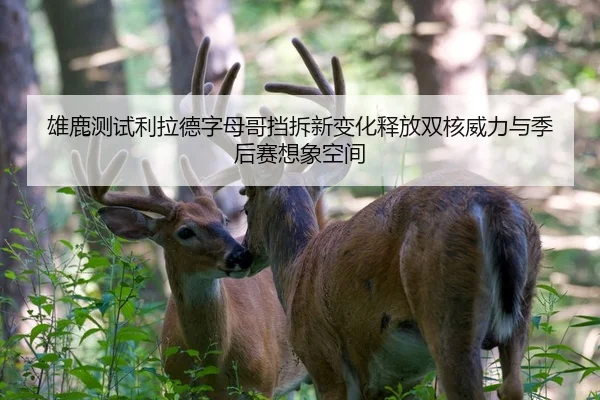 雄鹿测试利拉德字母哥挡拆新变化释放双核威力与季后赛想象空间